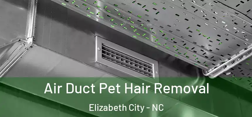 Air Duct Pet Hair Removal Elizabeth City - NC