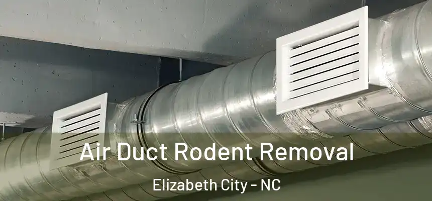 Air Duct Rodent Removal Elizabeth City - NC