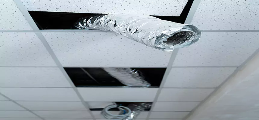 Our Air Duct Pet Hair Removal Services in Elizabeth City, NC