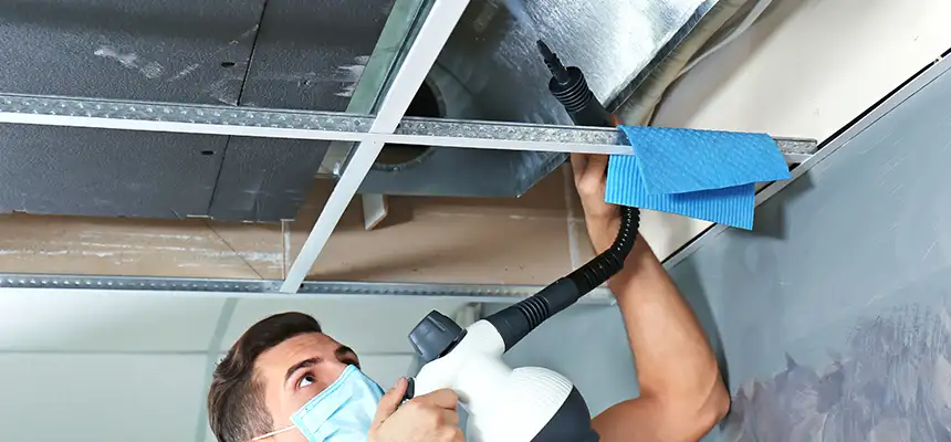 Our Air Duct Rodent Removal Services in Elizabeth City, NC