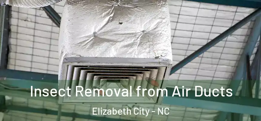 Insect Removal from Air Ducts Elizabeth City - NC