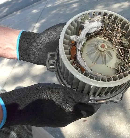 About Air Duct Mice Removal in Elizabeth City, NC