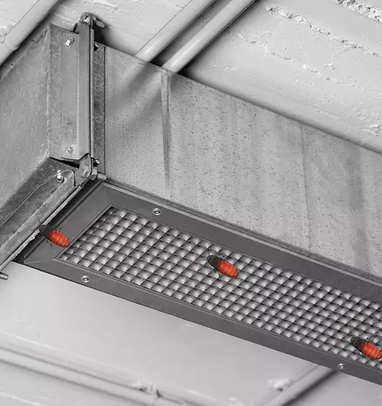 Affordable Insect Removal from Air Ducts in Elizabeth City, NC