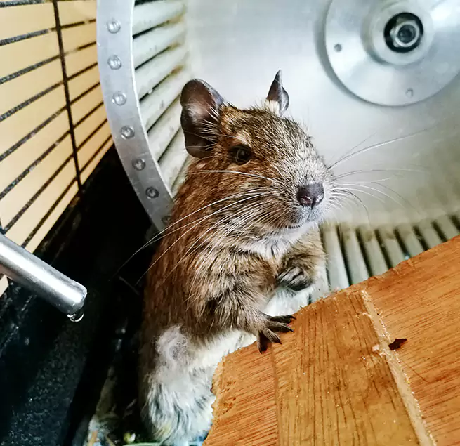 Why Homeowners & Businesses Trust Us Elizabeth City, NC?