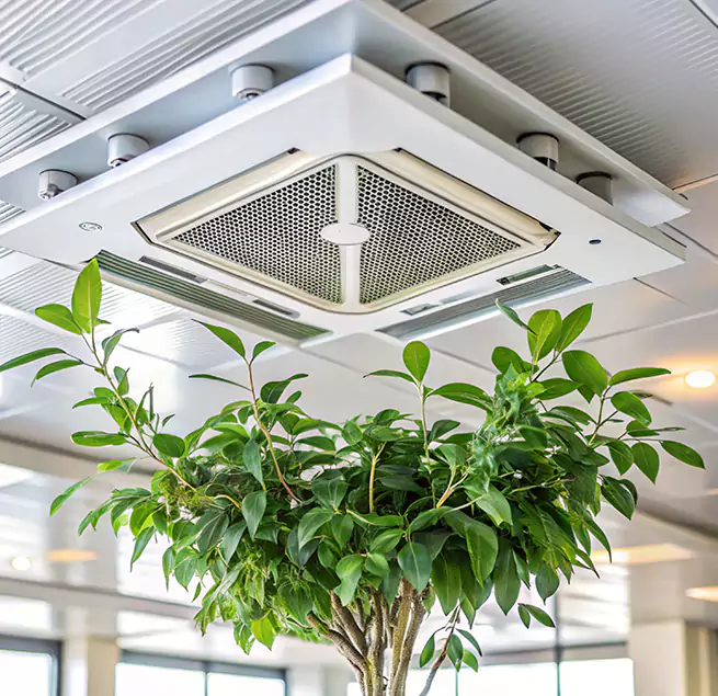 Why Homeowners & Businesses Trust Us in Elizabeth City, NC?