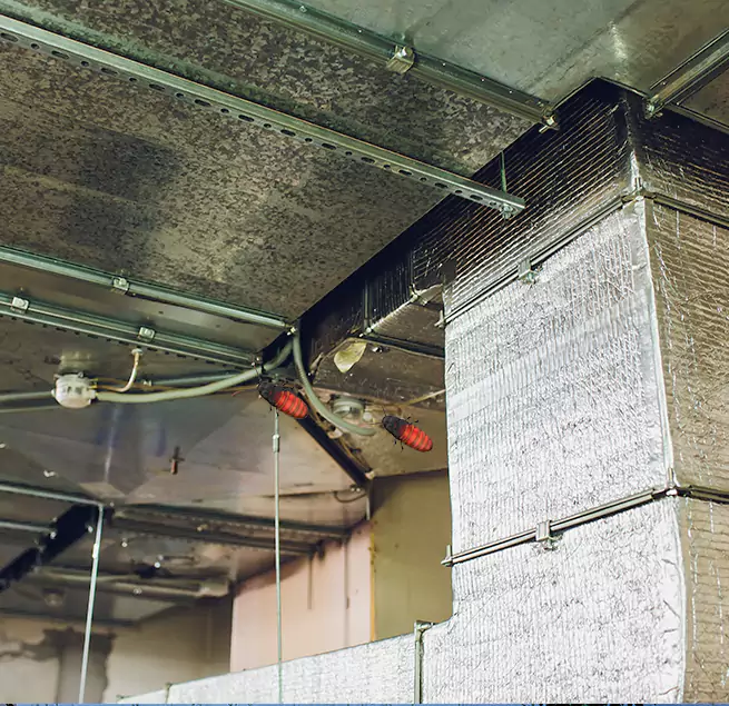 Why Homeowners & Businesses Trust Us Elizabeth City, NC?