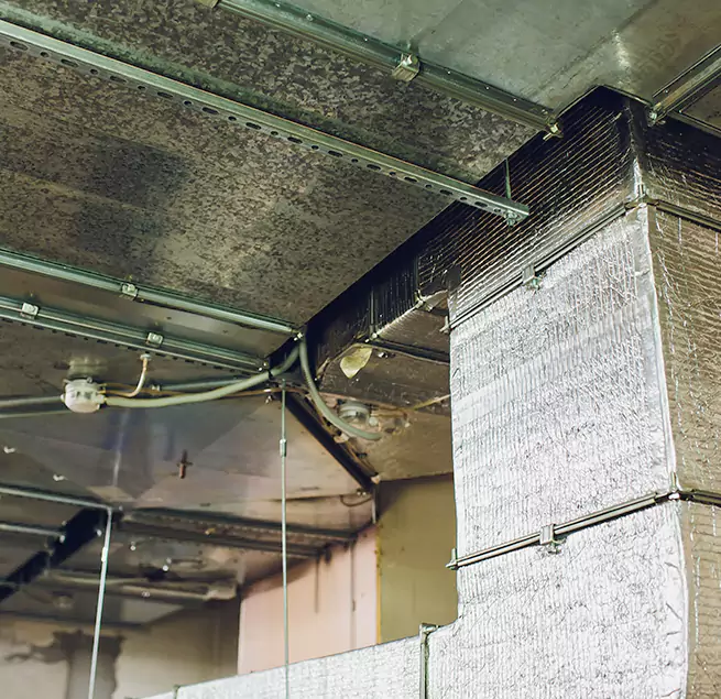 Why Homeowners & Businesses Trust Us in Elizabeth City, NC?